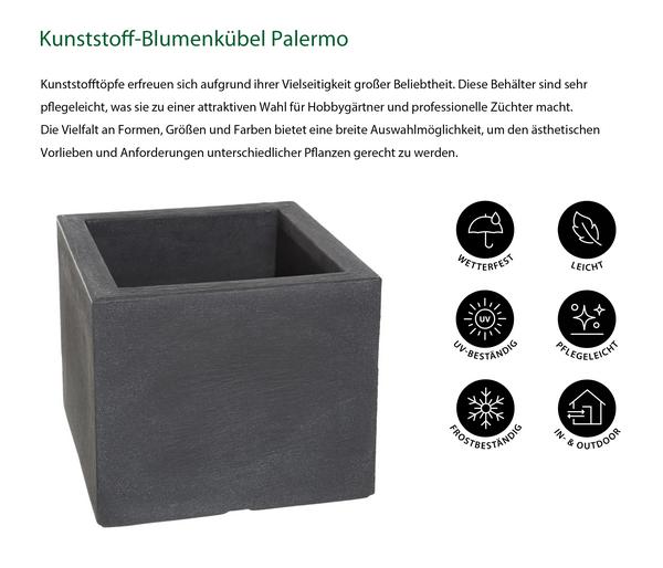Dehner Kunststoff-Blumenkübel Palermo,