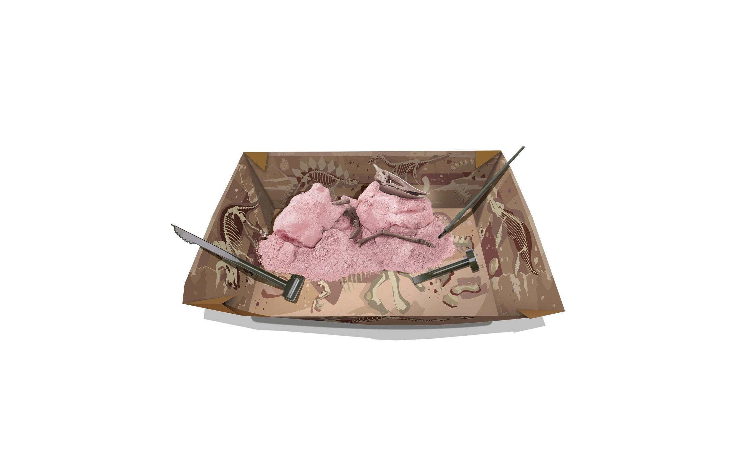 Dino Ausgrabungsset – PteranodonDinosaurier-Spielset