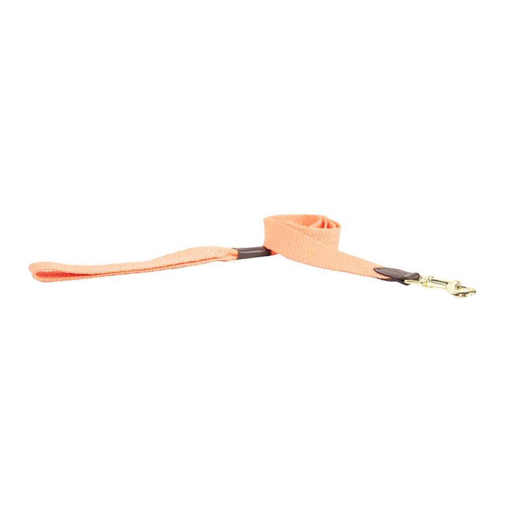 Kentucky JACQUARD - Laisse pour chien orange fluo