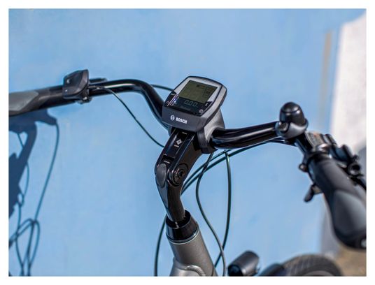 Vélo de Ville Électrique Trek Verve  2 Lowstep Shimano Altus 9V 500 Wh 700 mm Gris