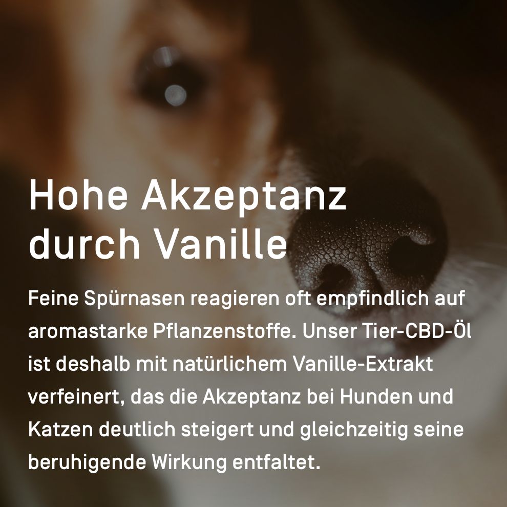ORGANIC ELEMENTS CBD-Öl für Hunde & Katzen 10%