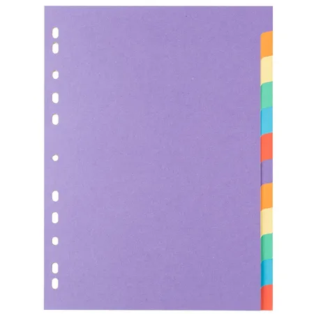 Idena 10091 Karton Register A4 12tlg. 2x6 Farben 160g/m²