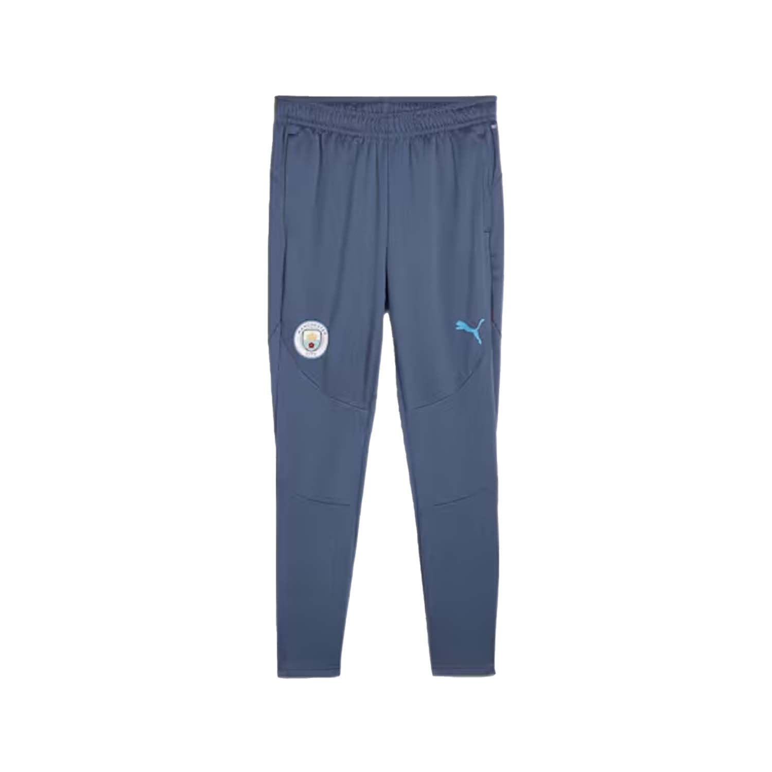 PUMA  Manchester City Training Pants