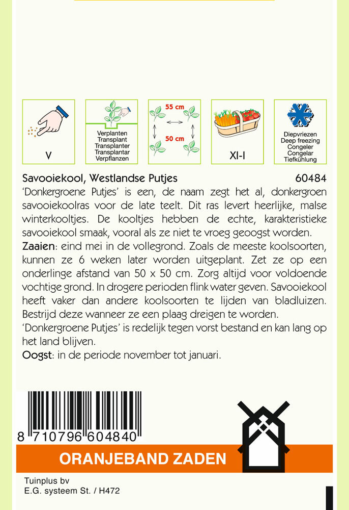 Oranjeband zaden Savooiekool Putjes - Groentezaden