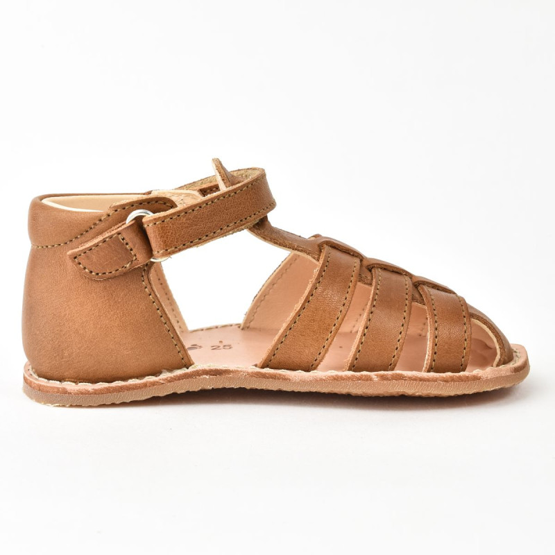Aster Aster Petits Pas Binosmo Camel