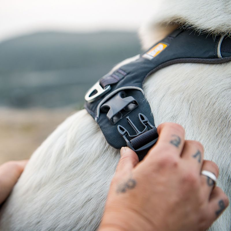 Harnais Ruffwear Front Range