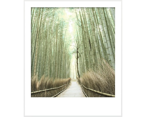 Premium muurverf Stijl Kleur SELECTIE 03 conserveringsmiddelvrij Power of Bamboo 2,5 L
