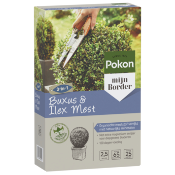 Pokon buxus & ilex mest 2,5 kg