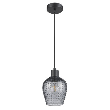 GAMMA hanglamp Yascha zwart Ø14 cm