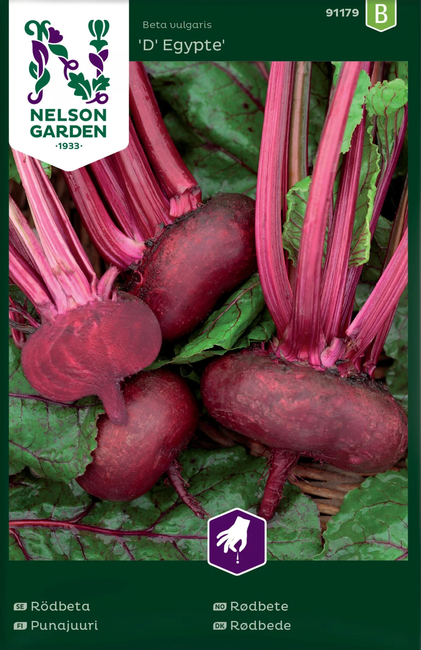 Beta vulgaris 'D'Egypte' Rødbete 'D'Egypte'