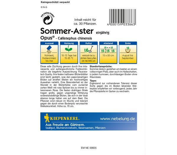 Kiepenkerl Saatgut Sommer-Aster 'Opus'