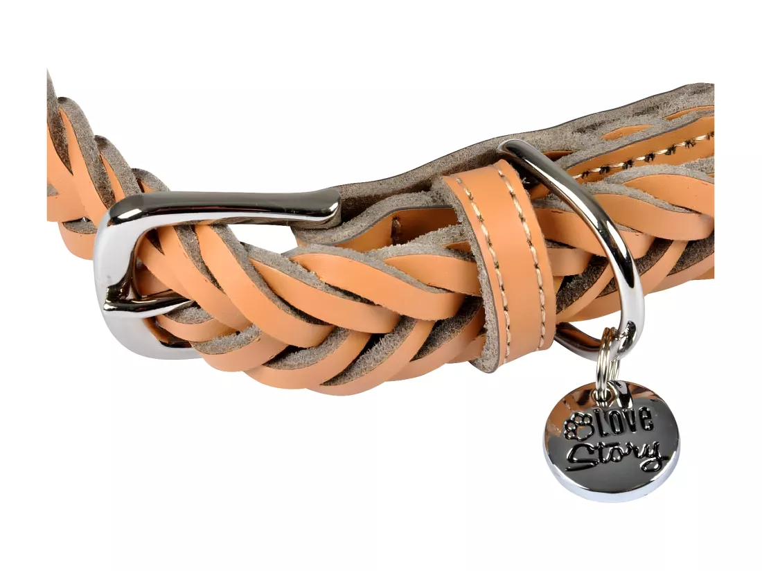 Collier pour Chien Réglable 