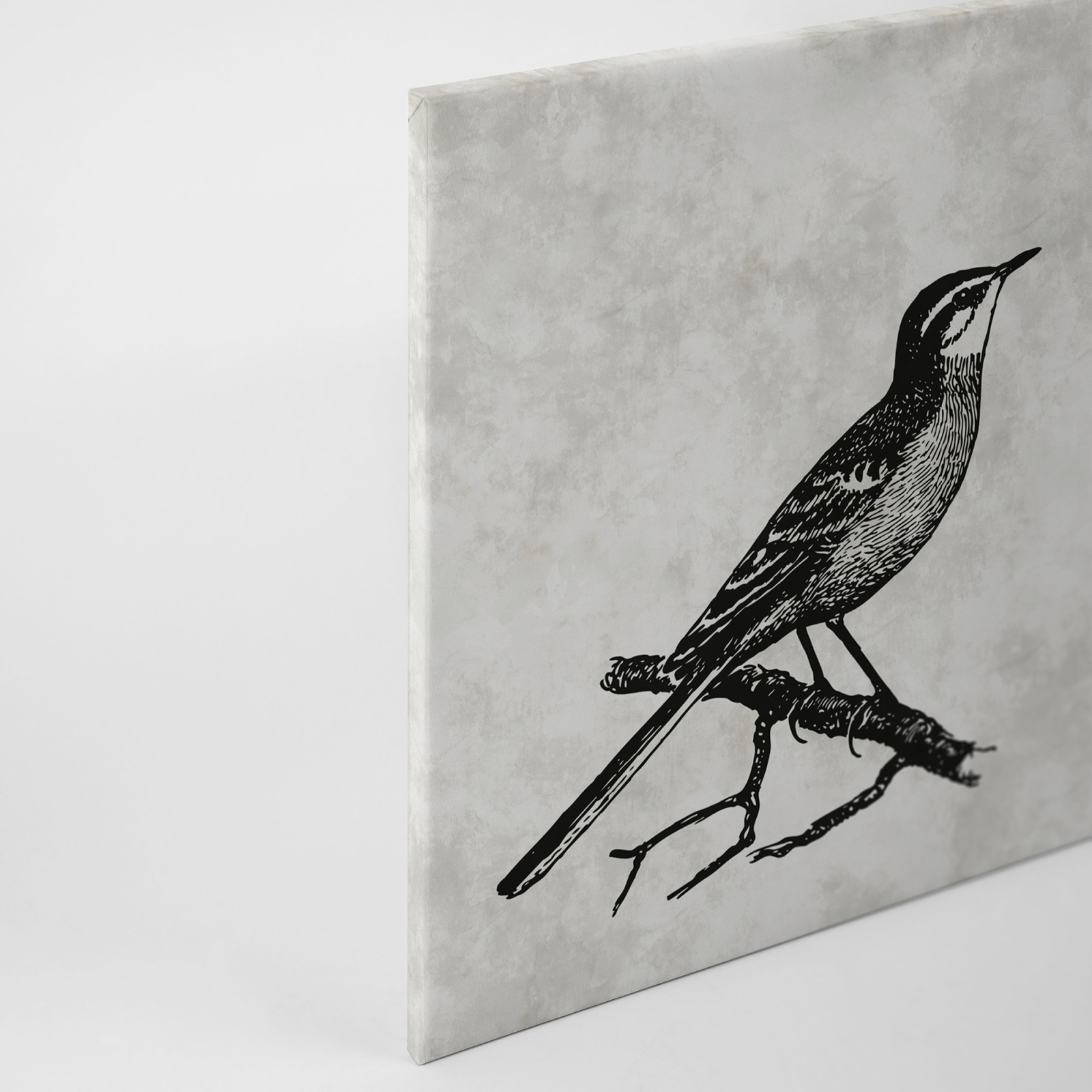 Leinwandbild VOGEL 1 - grau-schwarz - 90x60 cm