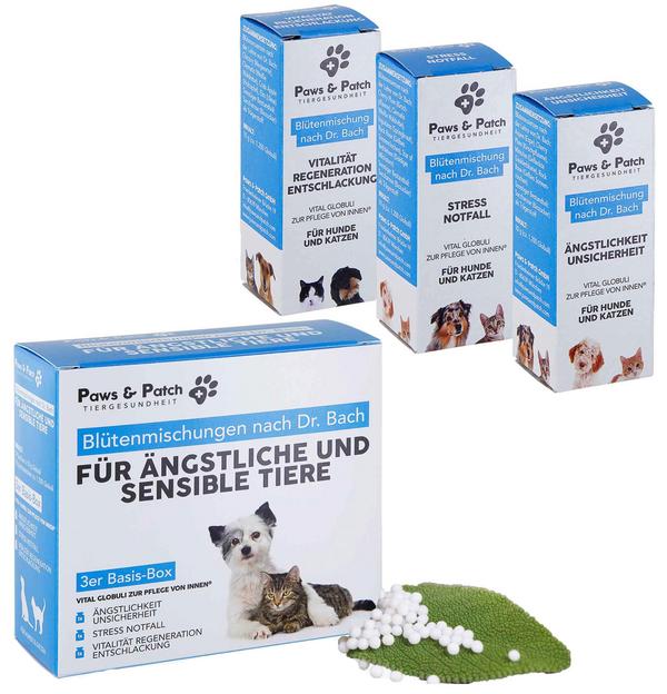 PAWS & PATCH Blütenmischung 3er Basis-Box