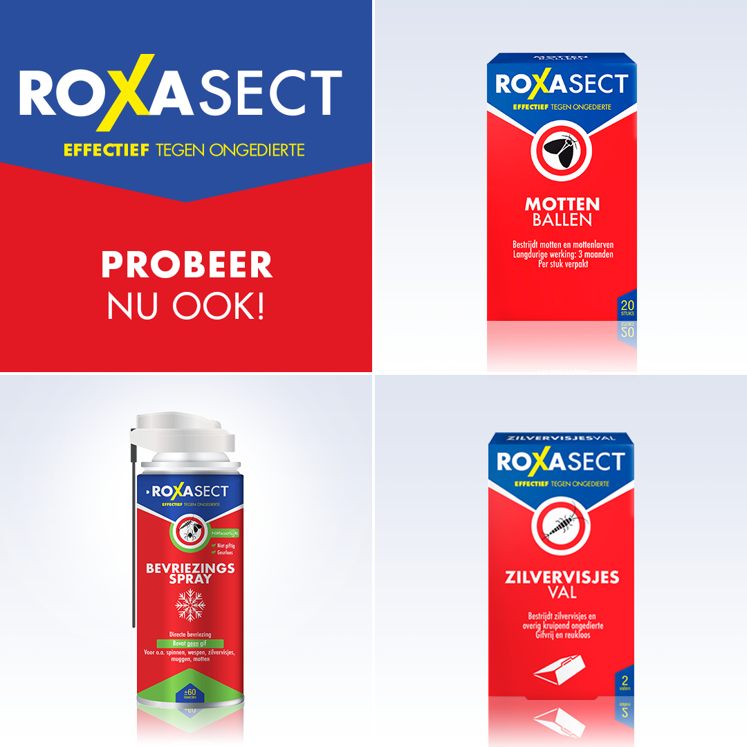 Roxasect Spuitbus tegen zilvervisjes (400 ml)