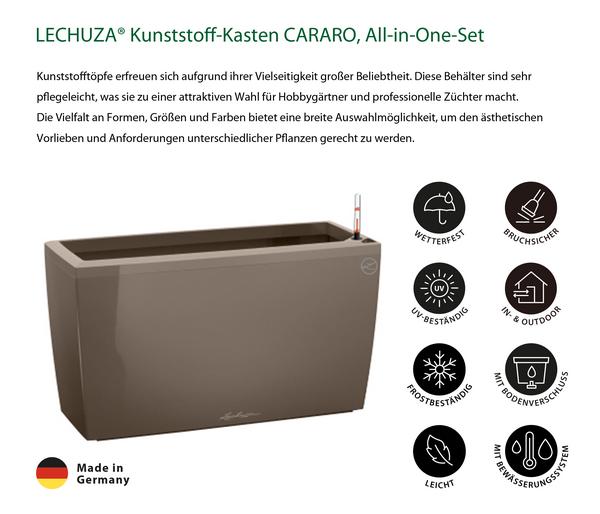 LECHUZA® Kunststoff-Kasten CARARO