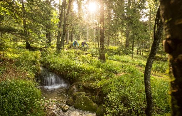 Mountainbike Tour mit Übernachtung im Bayerwald als Geschenk