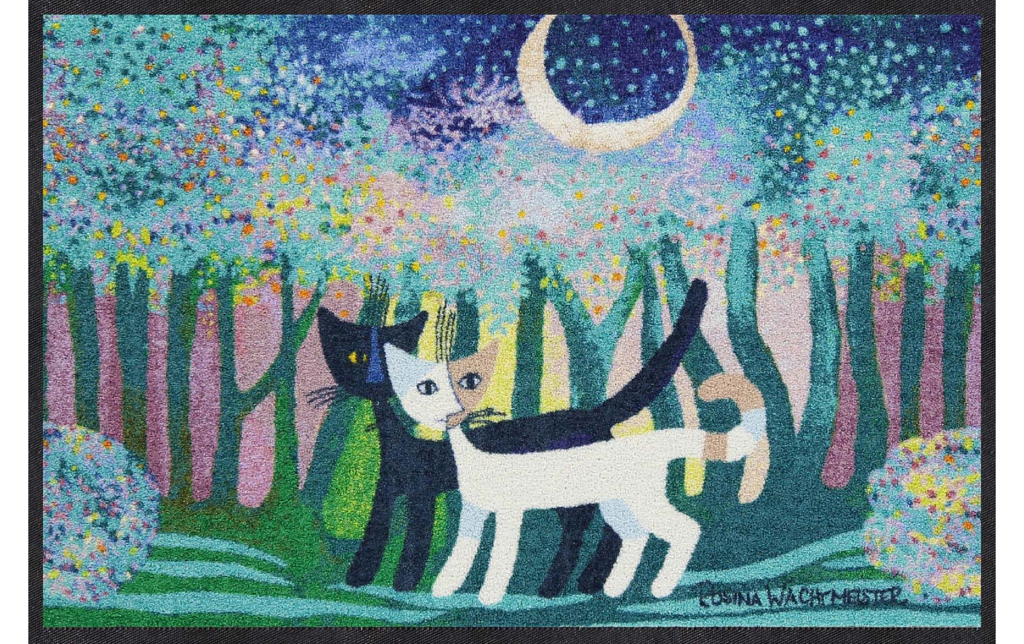 Fussmatte R.Wachtmeister Bosco 50 cm x 75 cmPflegeleichte und rutschfeste Schmutzfangmatte