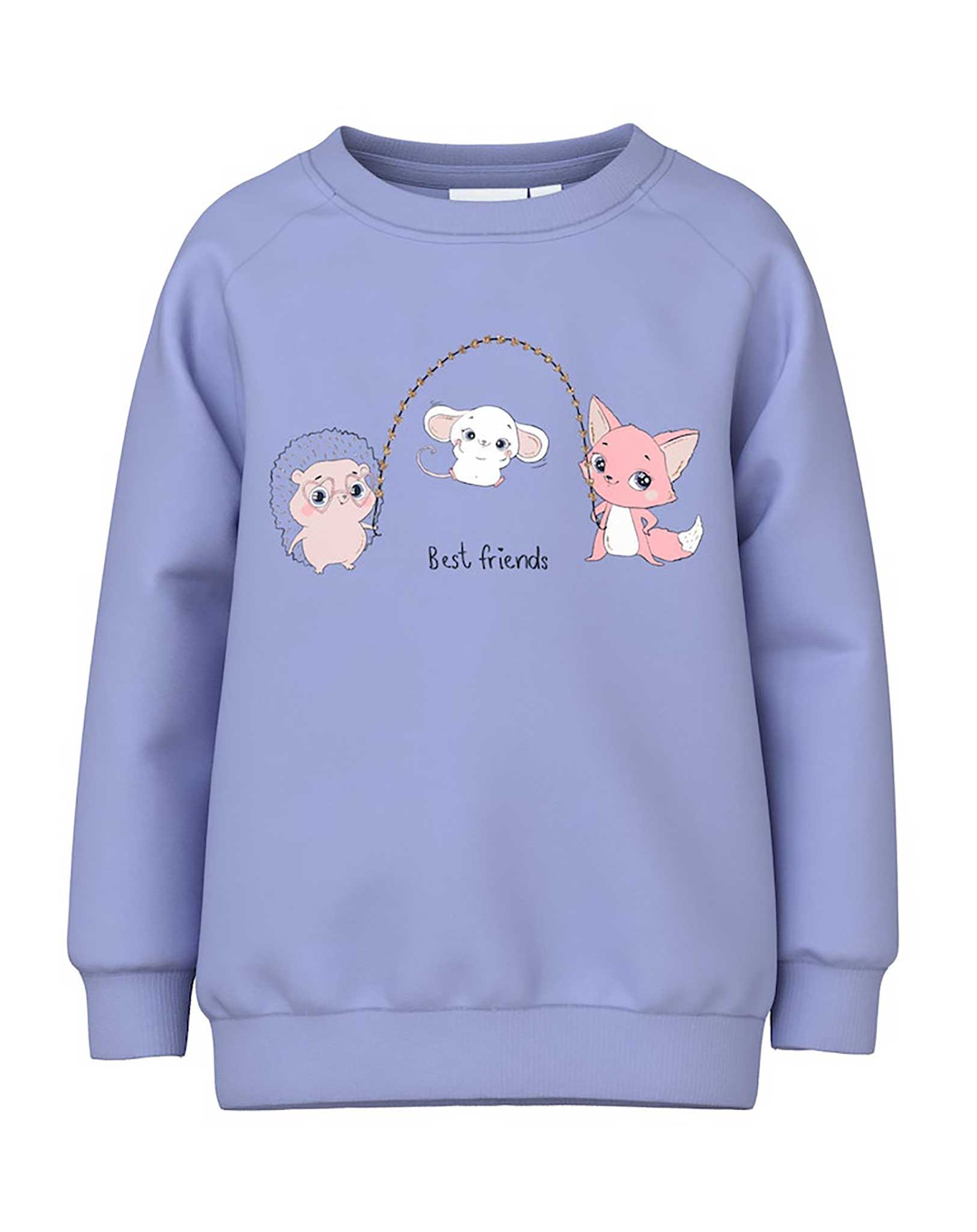 Sweatshirt NMFVENUS BEST FRIENDS in easter egg