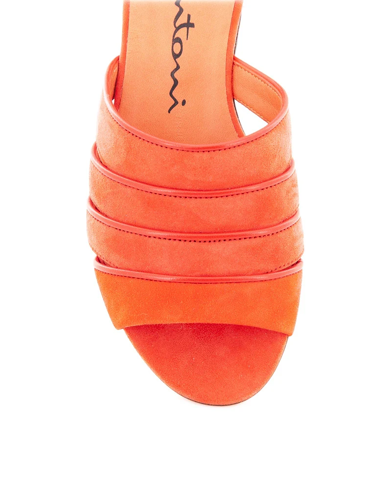 SANTONI - BRIGITTE 58721 MFL CORAIL