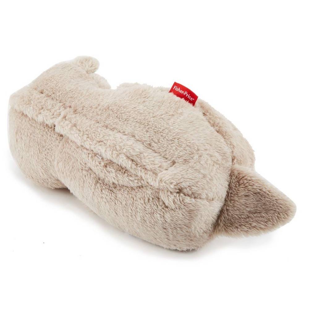Fisher-Price bedtijd otter
