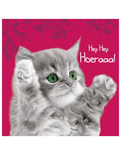Plenty Gifts Kaart Hoeraaa! - Cadeau - 13.7x13.7 cm