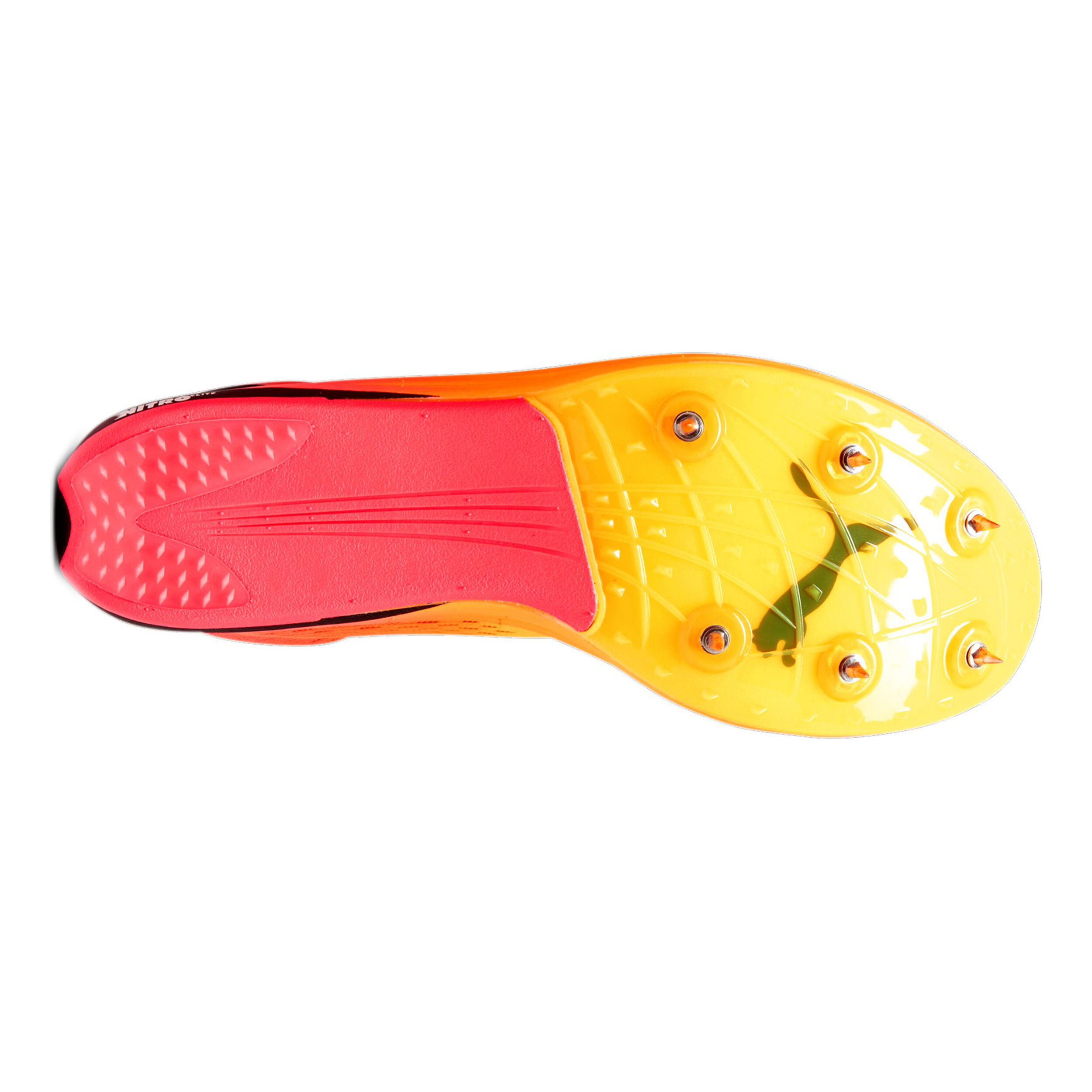 Puma EvoSPEED Long Distance Nitro Elite+ Spikes Hommes - Orange , Pink
