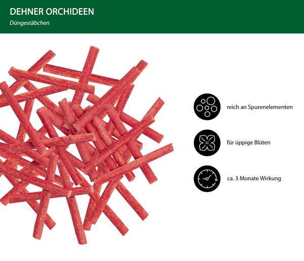 Dehner Düngestäbchen für Orchideen, 30
