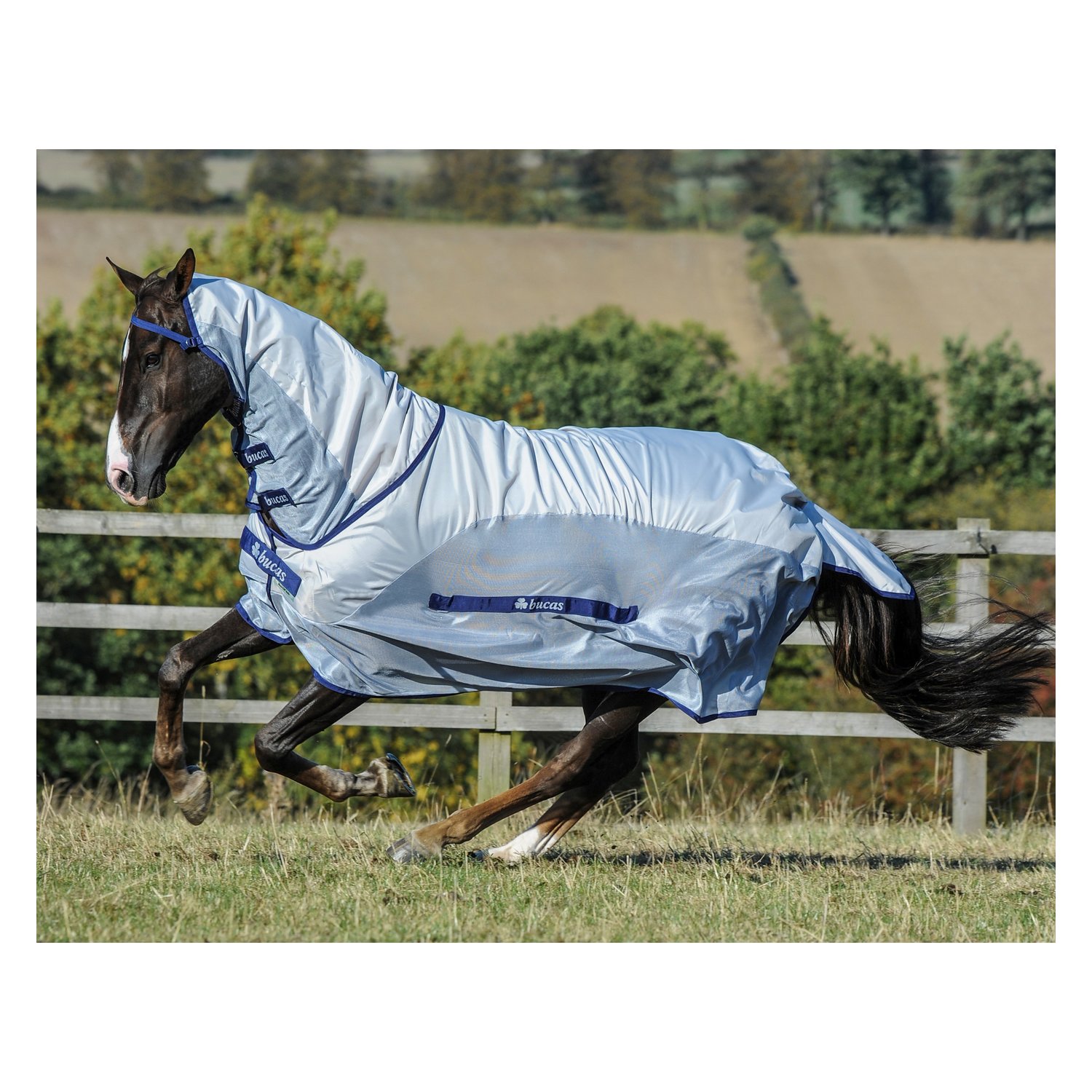 Bucas Sommerdecke Buzz-Off Rain - silver/blue