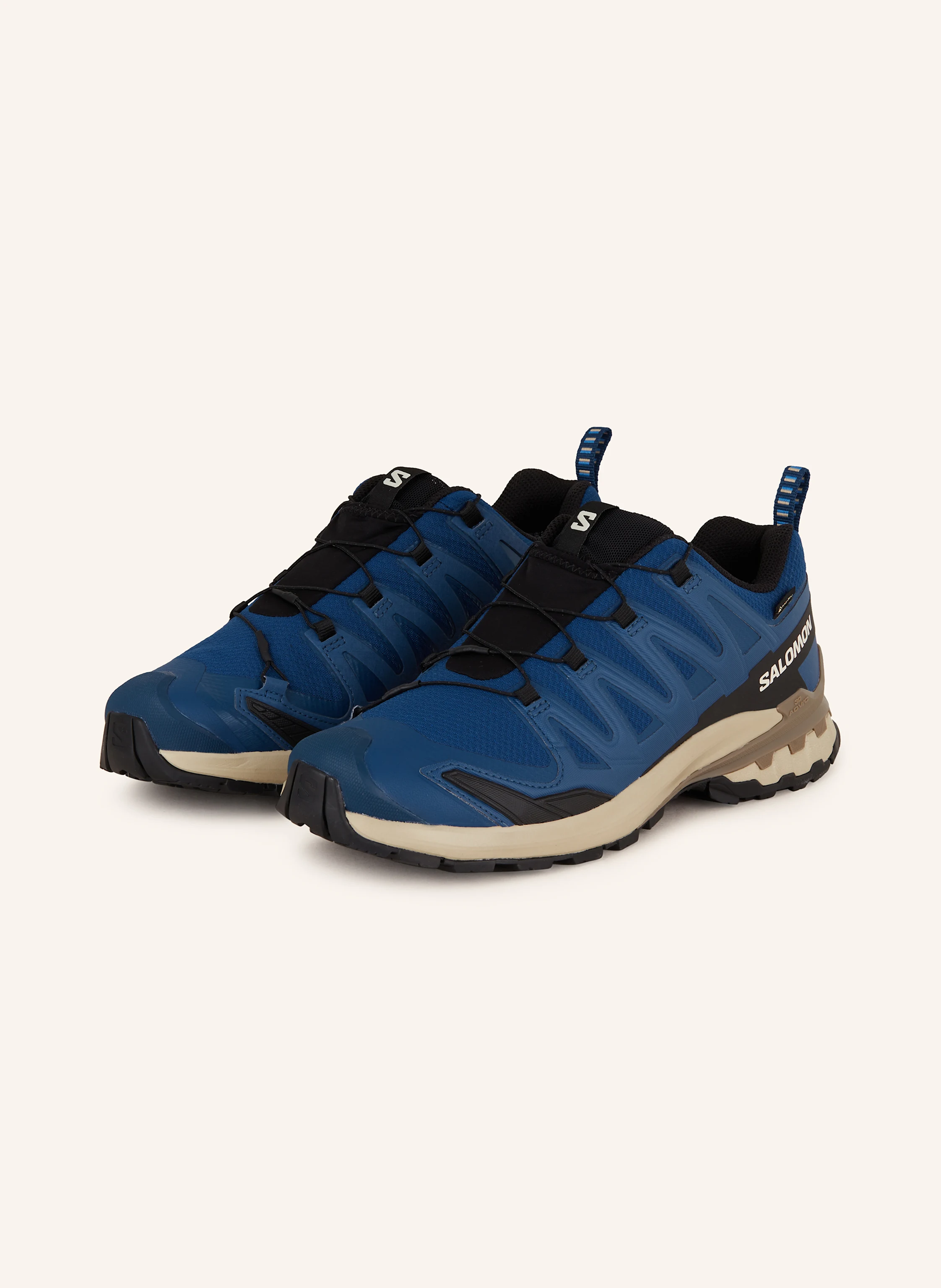 SALOMON Wanderschuhe XA PRO 3D V9 GTX