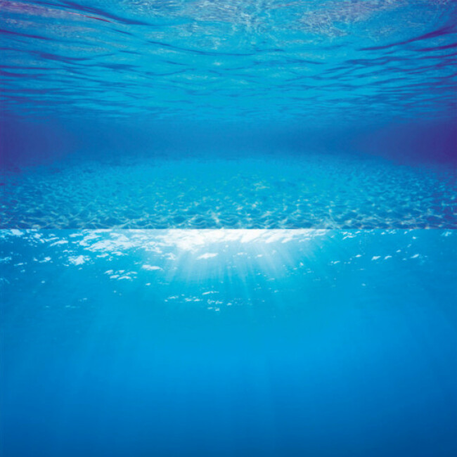 Poster aquarium paroi arrière Juwel 150 cm x 60 cm