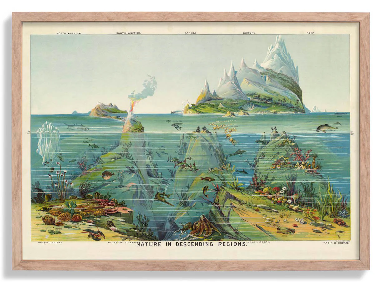 Natur in absteigenden Regionen Bildung Vintage