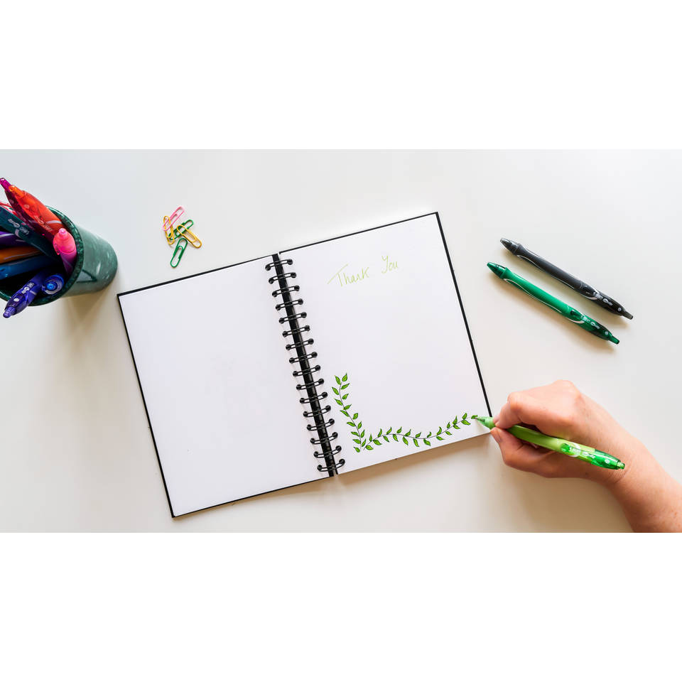 BIC Gelocity Quick Dry gelpen