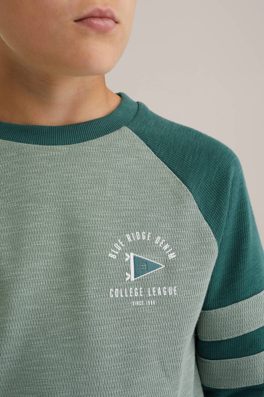 WE Fashion Blue Ridge sweater groen