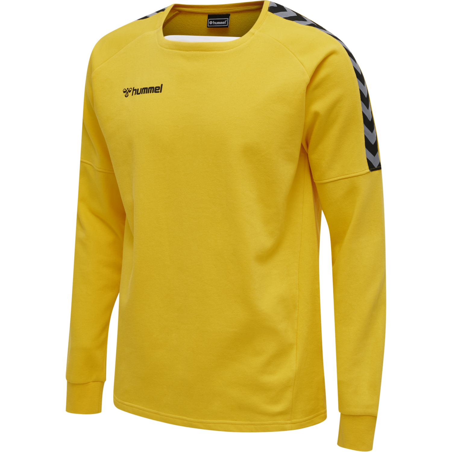 hmlAUTHENTIC TRAINING SWEAT