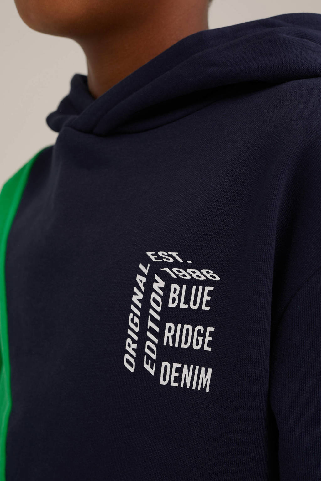 WE Fashion hoodie groen