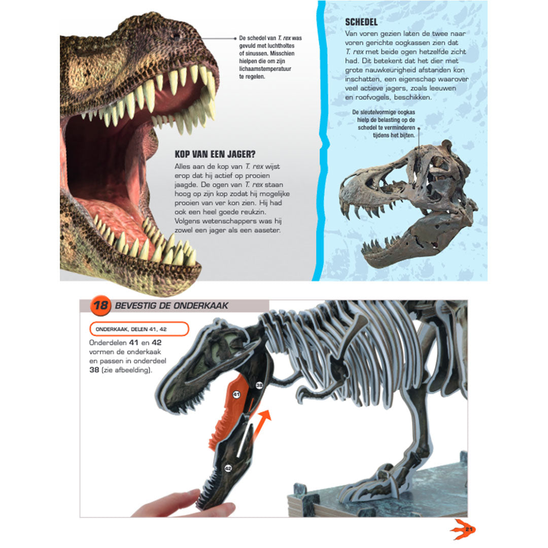 Uitgeverij lannoo bouwpakket maak je eigen t-rex