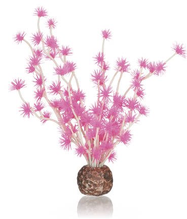 biOrb Bonsai bal Roze | Decoratie