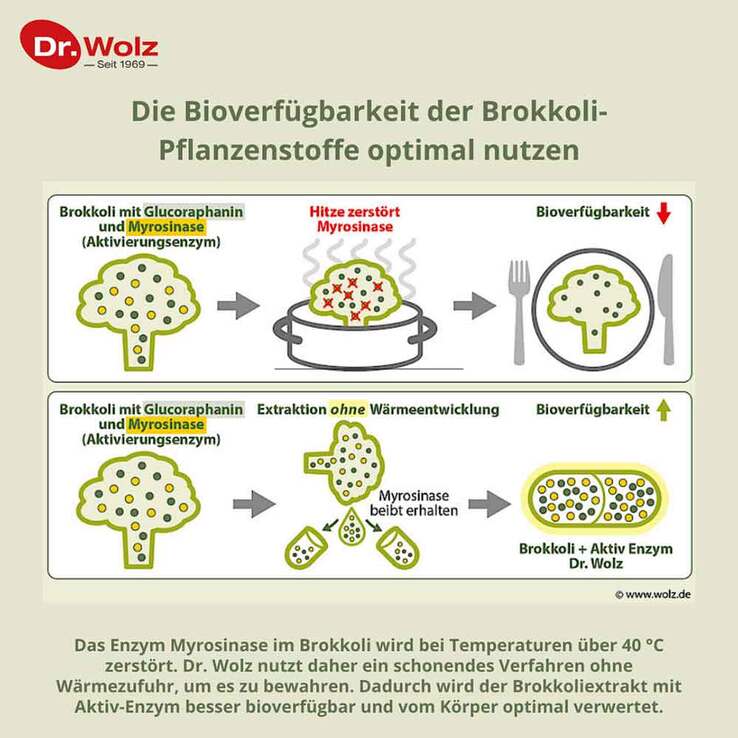 Brokkoliextrakt + Aktiv-Enzym Dr. Wolz magensaftresistent Kapseln , 60 St