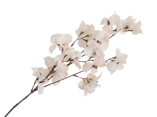 Tropica stilkblomst 86 cm hvit