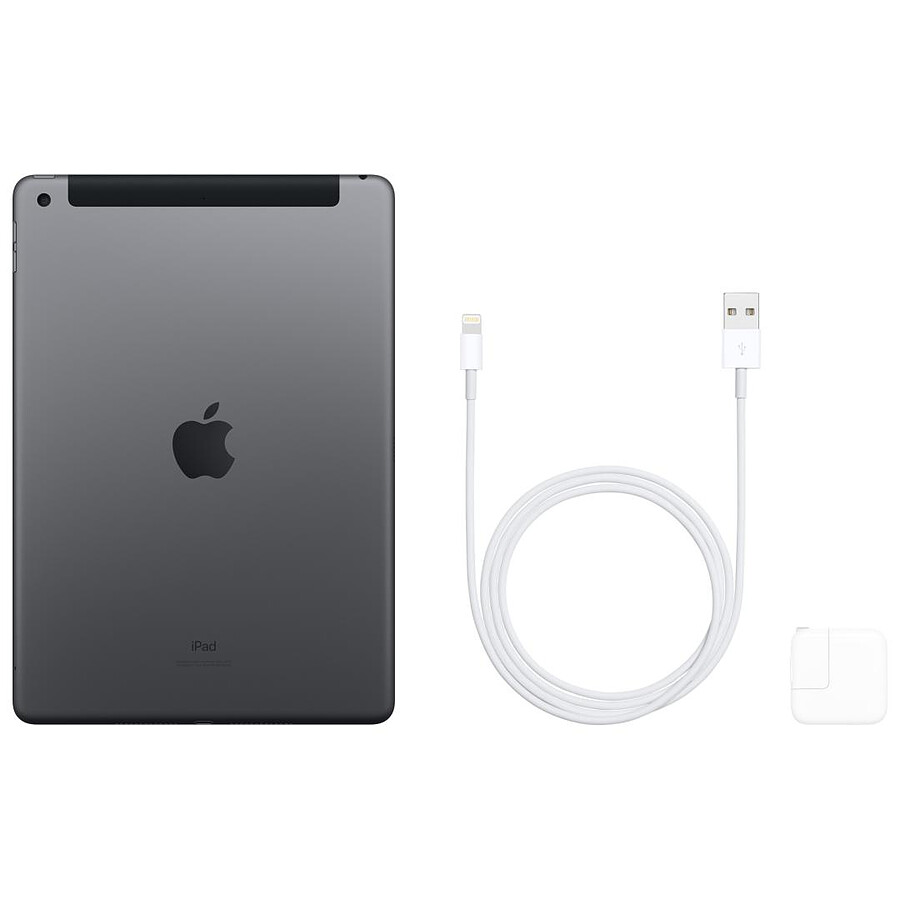 Apple iPad Wi-Fi + Cellular 10.2 - 128 Go - Gris (7 ème génération) · Reconditionné