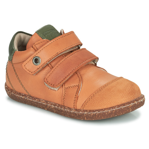 Aster - WASHAN - Camel / Vert