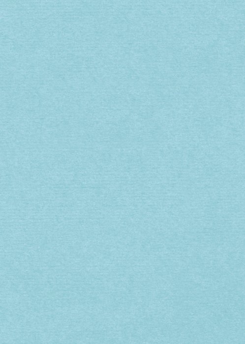 Paperclip | Verjaardag | Haai | Aanpasbare naam
