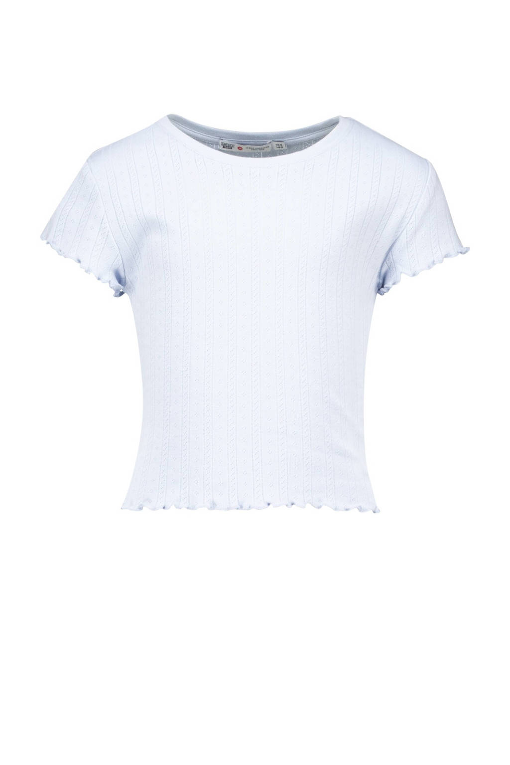 America Today T-shirt met all over print en textuur babyblauw