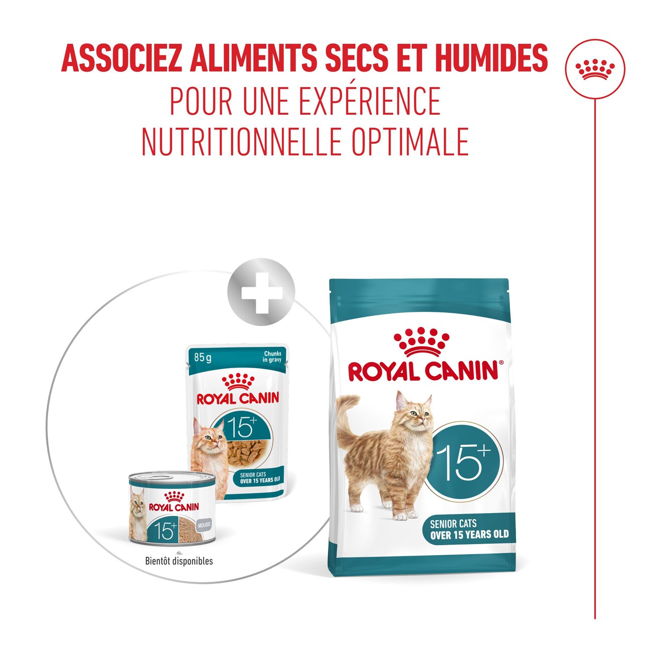 ROYAL CANIN Nassfutter Katze, Senior Agening 15+, Sauce 12x85 g