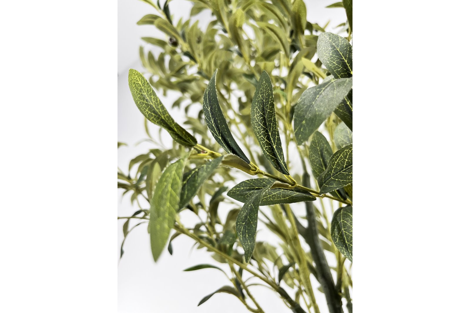 Oliventre potteplante Grønn H160 cm