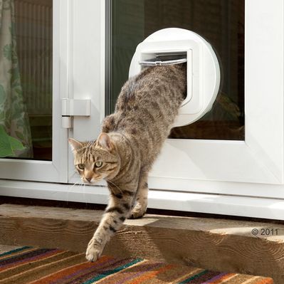 SureFlap Microchip - Kattenluik - Grijs Wit - 12 x 14 cm