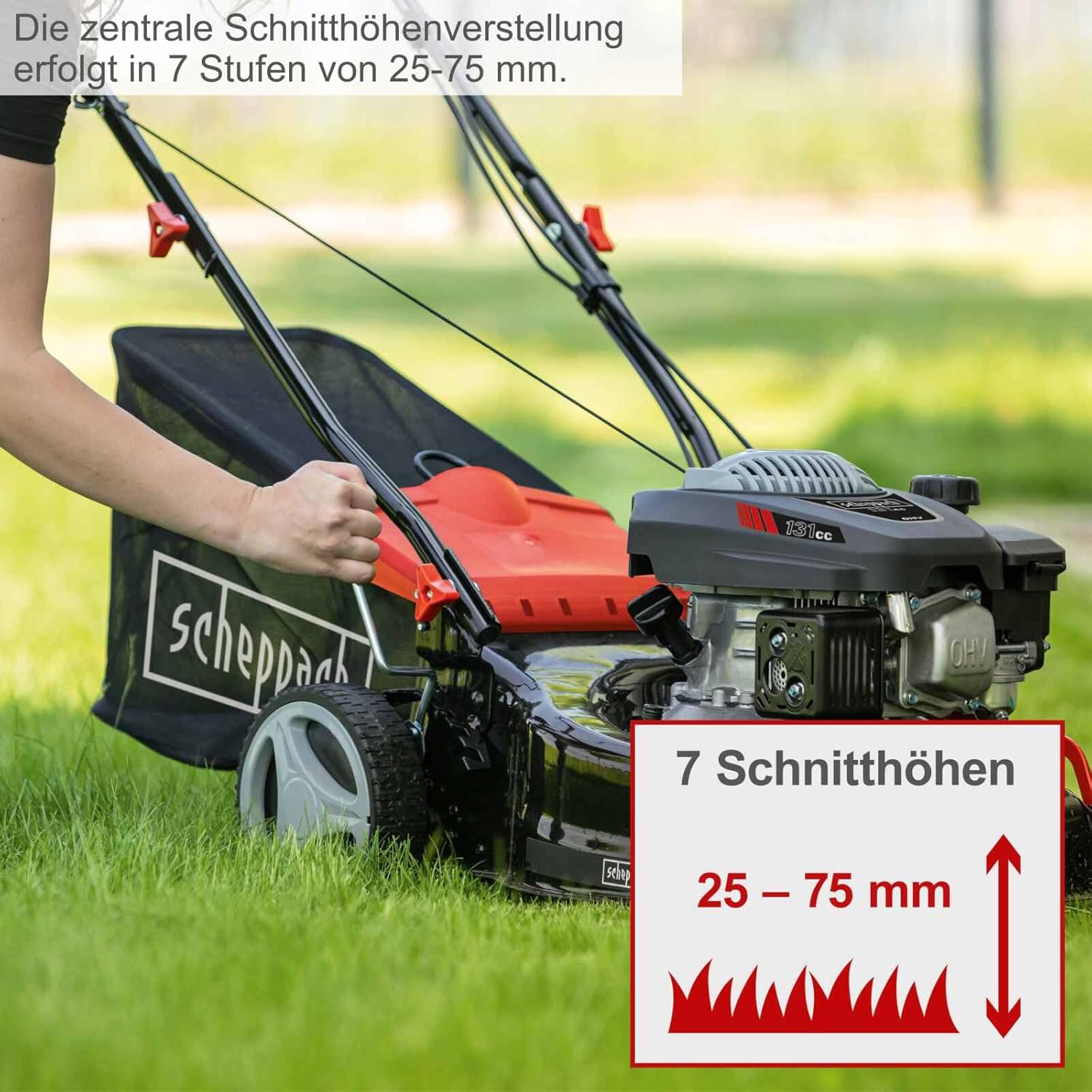 Scheppach Rasenmäher RM420A | 5 in 1-3,3PS | Schnittbreite 420mm | 45L Fangkorb | Schnitthöhenverstellung 25-75 mm | inkl. Radantrieb, Reinigungsfunktion & Motoröl & 2. Mähmesser