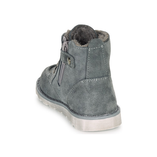 Citrouille et Compagnie - LISITON - Gris