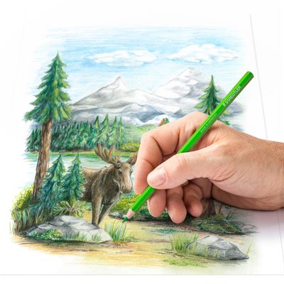STAEDTLER Design Journey - 48 Crayons de couleur - couleurs assorties
